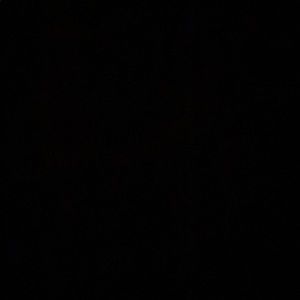 Meet your Posher, Zara